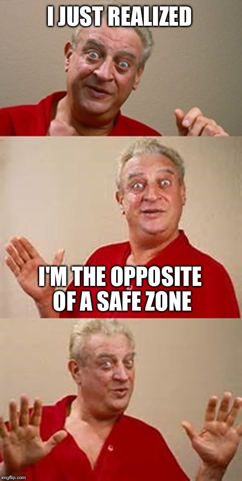 I need a Danger Field | I JUST REALIZED; I'M THE OPPOSITE OF A SAFE ZONE | image tagged in bad pun dangerfield | made w/ Imgflip meme maker