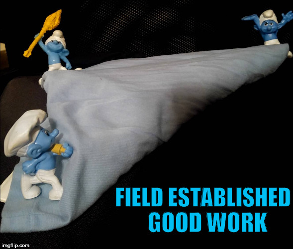 For my fellow Ingress Resistance Agents: | FIELD ESTABLISHED; GOOD WORK | image tagged in ingress,smurfs,blue | made w/ Imgflip meme maker