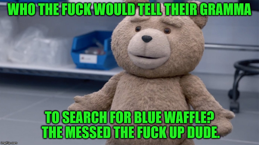 WHO THE F**K WOULD TELL THEIR GRAMMA TO SEARCH FOR BLUE WAFFLE? THE MESSED THE F**K UP DUDE. | image tagged in ted question | made w/ Imgflip meme maker