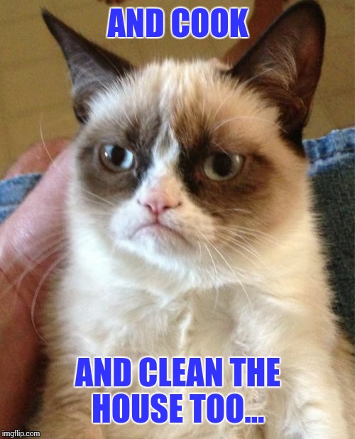 Grumpy Cat Meme | AND COOK AND CLEAN THE HOUSE TOO... | image tagged in memes,grumpy cat | made w/ Imgflip meme maker
