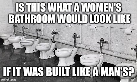Just a thought | IS THIS WHAT A WOMEN'S BATHROOM WOULD LOOK LIKE; IF IT WAS BUILT LIKE A MAN'S? | image tagged in memes,funny,toilet | made w/ Imgflip meme maker