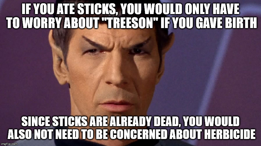 IF YOU ATE STICKS, YOU WOULD ONLY HAVE TO WORRY ABOUT "TREESON" IF YOU GAVE BIRTH SINCE STICKS ARE ALREADY DEAD, YOU WOULD ALSO NOT NEED TO  | image tagged in spock | made w/ Imgflip meme maker