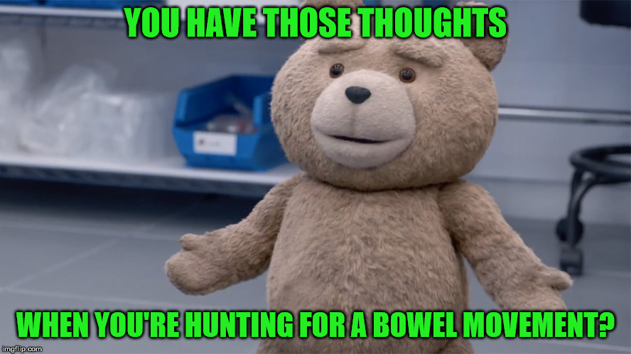 YOU HAVE THOSE THOUGHTS WHEN YOU'RE HUNTING FOR A BOWEL MOVEMENT? | image tagged in ted question | made w/ Imgflip meme maker
