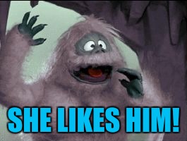 SHE LIKES HIM! | image tagged in bumble's joke | made w/ Imgflip meme maker