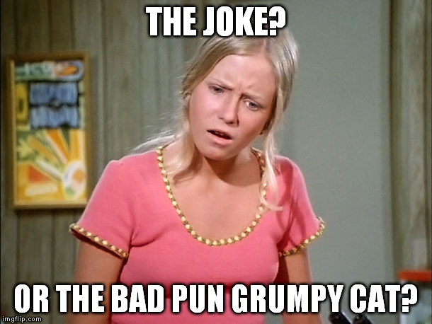 THE JOKE? OR THE BAD PUN GRUMPY CAT? | made w/ Imgflip meme maker