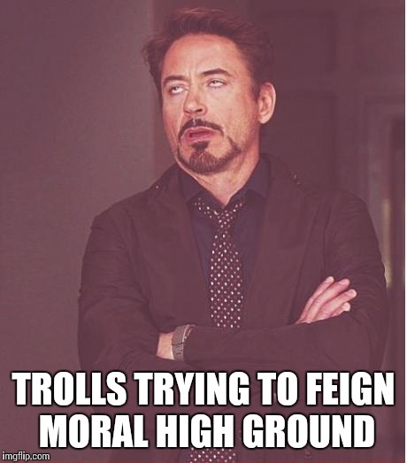 Face You Make Robert Downey Jr Meme | TROLLS TRYING TO FEIGN MORAL HIGH GROUND | image tagged in memes,face you make robert downey jr | made w/ Imgflip meme maker