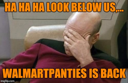 Captain Picard Facepalm Meme | HA HA HA LOOK BELOW US,... WALMARTPANTIES IS BACK | image tagged in memes,captain picard facepalm | made w/ Imgflip meme maker