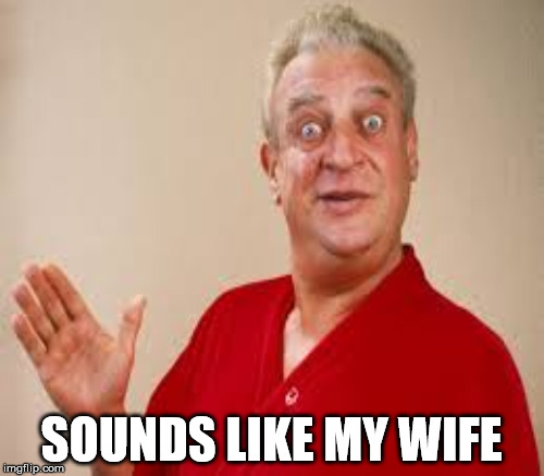 SOUNDS LIKE MY WIFE | made w/ Imgflip meme maker