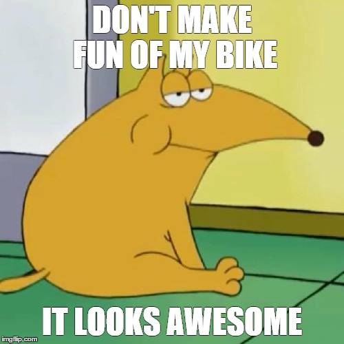Don't Diss My Bike | DON'T MAKE FUN OF MY BIKE; IT LOOKS AWESOME | image tagged in dogs,biking | made w/ Imgflip meme maker