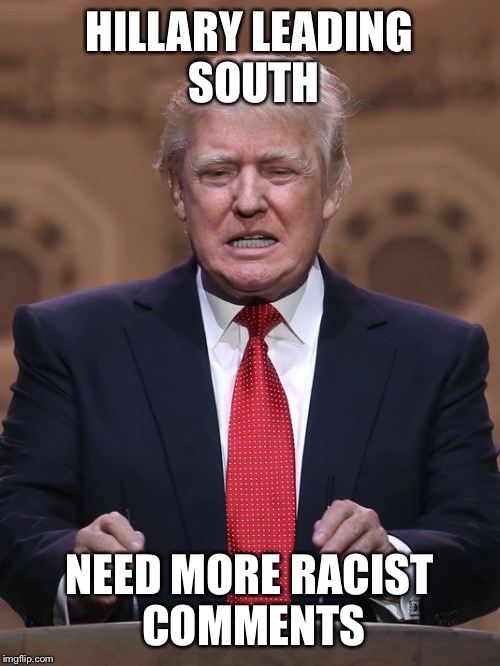 Donald Trump | HILLARY LEADING SOUTH; NEED MORE RACIST COMMENTS | image tagged in donald trump | made w/ Imgflip meme maker