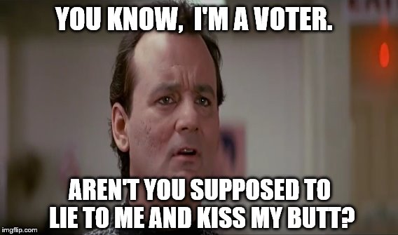 Legalized Citizenry | YOU KNOW,  I'M A VOTER. AREN'T YOU SUPPOSED TO LIE TO ME AND KISS MY BUTT? | image tagged in bill murray,ghostbusters 2,dank politics llc | made w/ Imgflip meme maker