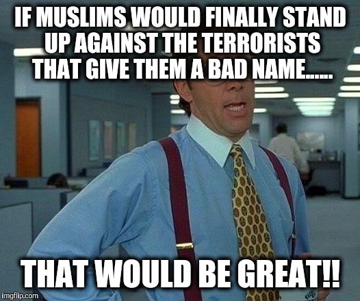 Bombs and terrorists out of hand | IF MUSLIMS WOULD FINALLY STAND UP AGAINST THE TERRORISTS THAT GIVE THEM A BAD NAME...... THAT WOULD BE GREAT!! | image tagged in memes,that would be great,terrorism | made w/ Imgflip meme maker