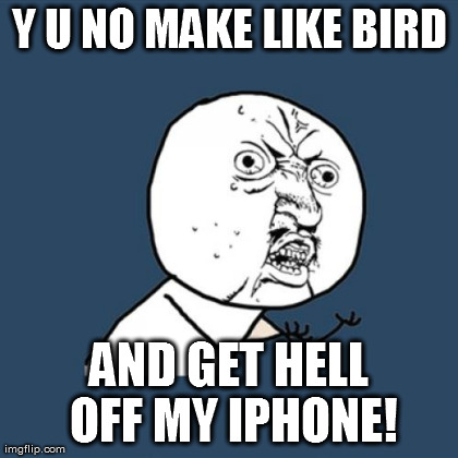Y U No Meme | Y U NO MAKE LIKE BIRD AND GET HELL OFF MY IPHONE! | image tagged in memes,y u no | made w/ Imgflip meme maker