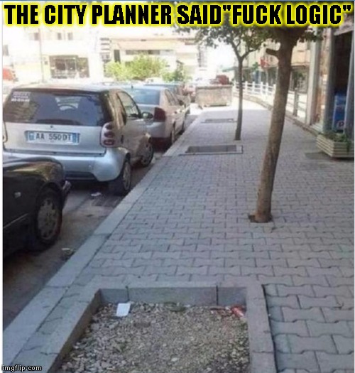 City planner  | THE CITY PLANNER SAID"FUCK LOGIC" | image tagged in funny,tree,memes,city,you had one job | made w/ Imgflip meme maker