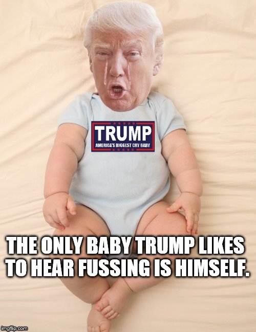 Crying Trump Baby | THE ONLY BABY TRUMP LIKES TO HEAR FUSSING IS HIMSELF. | image tagged in crying trump baby | made w/ Imgflip meme maker