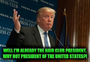 Douchebag logic  | WELL I'M ALREADY THE HAIR CLUB PRESIDENT. WHY NOT PRESIDENT OF THE UNITED STATES?! | image tagged in trump,douche,funny,themoreyouknow | made w/ Imgflip meme maker