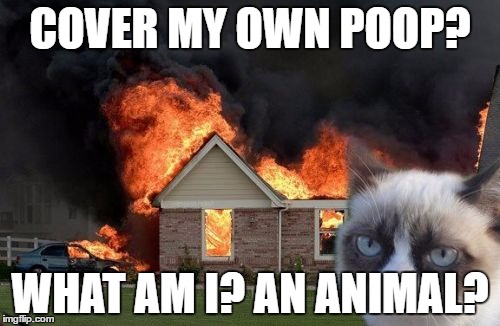 Burn Kitty Meme | COVER MY OWN POOP? WHAT AM I? AN ANIMAL? | image tagged in memes,burn kitty | made w/ Imgflip meme maker