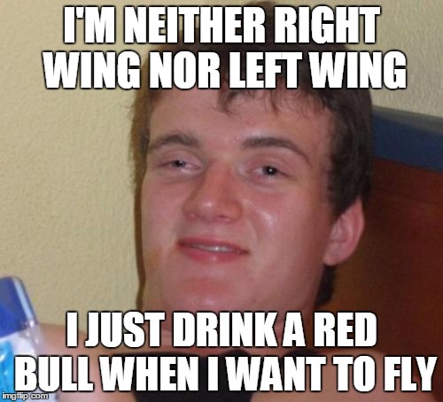 10 Guy Meme | I'M NEITHER RIGHT WING NOR LEFT WING; I JUST DRINK A RED BULL WHEN I WANT TO FLY | image tagged in memes,10 guy | made w/ Imgflip meme maker