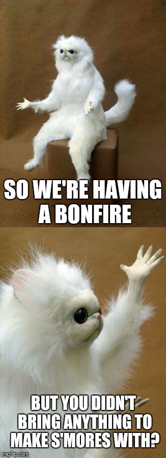 What's up with that? (this actually happened) | SO WE'RE HAVING A BONFIRE; BUT YOU DIDN'T BRING ANYTHING TO MAKE S'MORES WITH? | image tagged in funny,memes,persian cat room guardian,the nerve of some people,shocked,grumpy cat is not amused | made w/ Imgflip meme maker