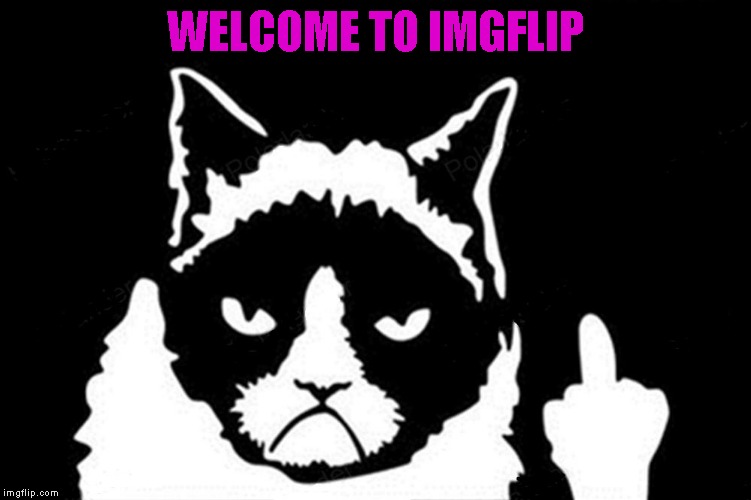 WELCOME TO IMGFLIP | made w/ Imgflip meme maker