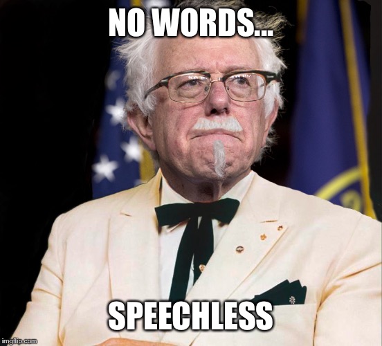 Colonel Bernie Sanders | NO WORDS... SPEECHLESS | image tagged in colonel bernie sanders | made w/ Imgflip meme maker