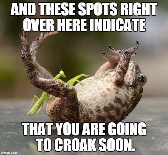 Praying Mantis Technique | AND THESE SPOTS RIGHT OVER HERE INDICATE; THAT YOU ARE GOING TO CROAK SOON. | image tagged in praying mantis technique | made w/ Imgflip meme maker