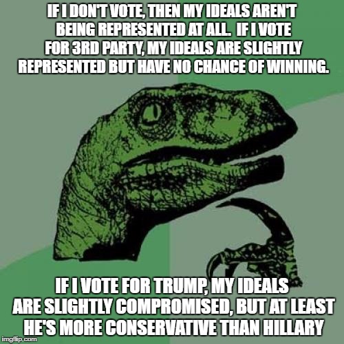 Philosoraptor Meme | IF I DON'T VOTE, THEN MY IDEALS AREN'T BEING REPRESENTED AT ALL.  IF I VOTE FOR 3RD PARTY, MY IDEALS ARE SLIGHTLY REPRESENTED BUT HAVE NO CH | image tagged in memes,philosoraptor | made w/ Imgflip meme maker