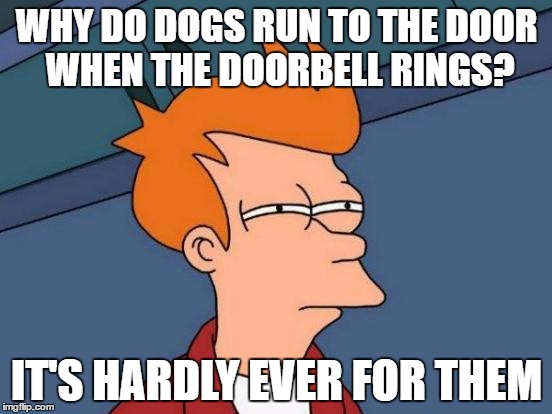 Futurama Fry Meme | WHY DO DOGS RUN TO THE DOOR WHEN THE DOORBELL RINGS? IT'S HARDLY EVER FOR THEM | image tagged in memes,futurama fry | made w/ Imgflip meme maker