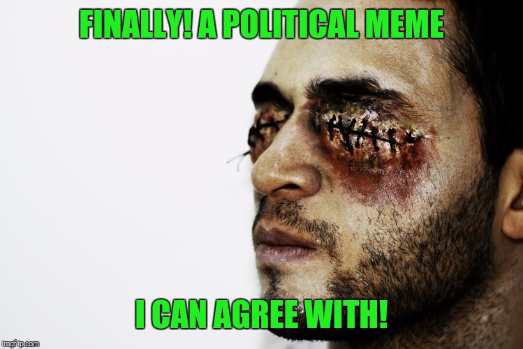 FINALLY! A POLITICAL MEME I CAN AGREE WITH! | made w/ Imgflip meme maker