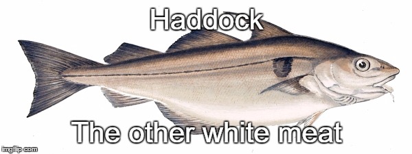 Haddock | Haddock; The other white meat | image tagged in haddock | made w/ Imgflip meme maker