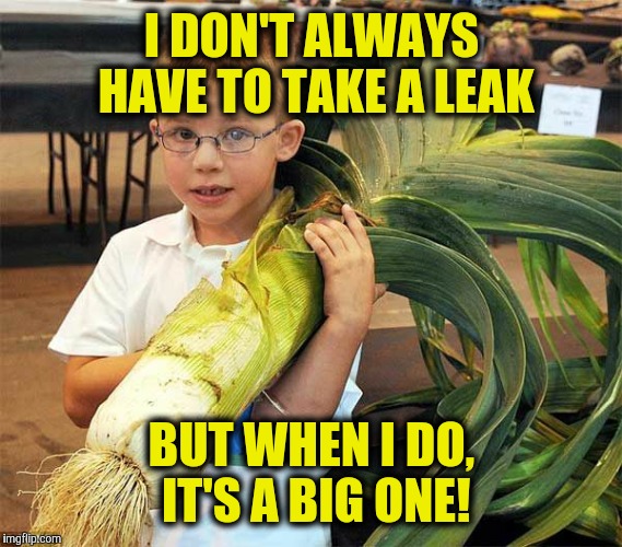 Ahhhhhhhhhhhhhhhhhhh ! | I DON'T ALWAYS HAVE TO TAKE A LEAK; BUT WHEN I DO, IT'S A BIG ONE! | image tagged in leeks,leaks,funny memes | made w/ Imgflip meme maker