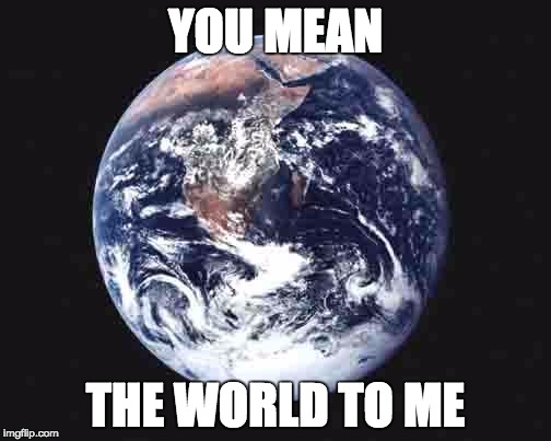 The world | YOU MEAN; THE WORLD TO ME | image tagged in the world | made w/ Imgflip meme maker