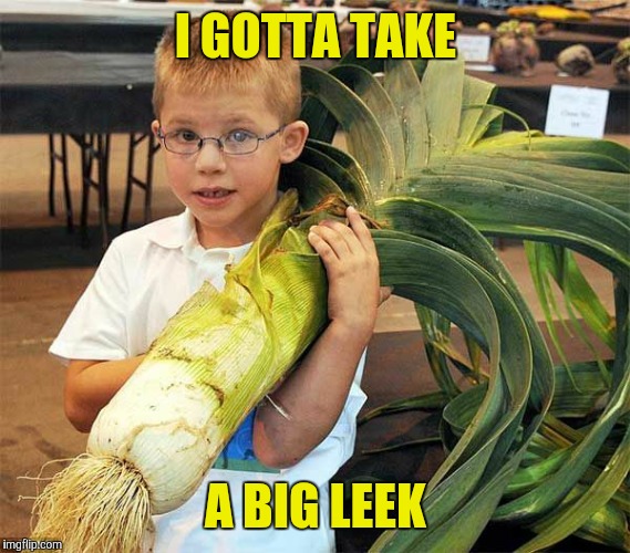 Hurry Mom, hurry! | I GOTTA TAKE; A BIG LEEK | image tagged in funny memes | made w/ Imgflip meme maker