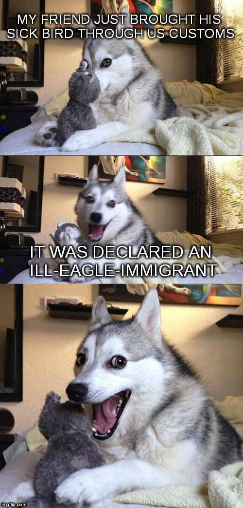 Bad Pun Dog | MY FRIEND JUST BROUGHT HIS SICK BIRD THROUGH US CUSTOMS; IT WAS DECLARED AN ILL-EAGLE-IMMIGRANT | image tagged in memes,bad pun dog | made w/ Imgflip meme maker