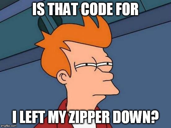 Futurama Fry Meme | IS THAT CODE FOR I LEFT MY ZIPPER DOWN? | image tagged in memes,futurama fry | made w/ Imgflip meme maker