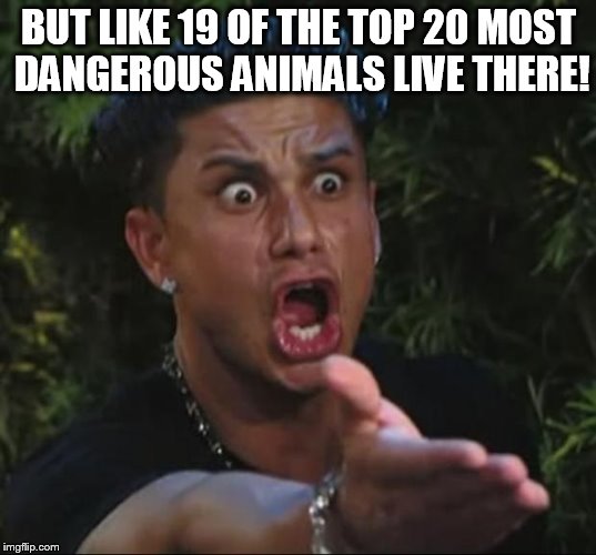 BUT LIKE 19 OF THE TOP 20 MOST DANGEROUS ANIMALS LIVE THERE! | image tagged in pauly | made w/ Imgflip meme maker