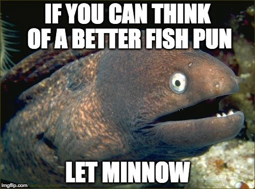 Bad Joke Eel Meme | IF YOU CAN THINK OF A BETTER FISH PUN; LET MINNOW | image tagged in memes,bad joke eel | made w/ Imgflip meme maker