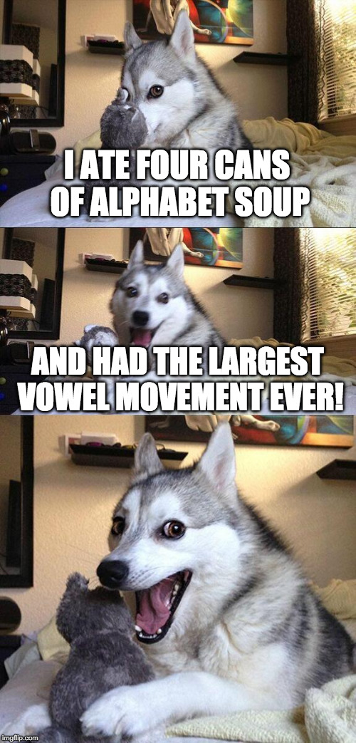 Bad Pun Dog Meme | I ATE FOUR CANS OF ALPHABET SOUP; AND HAD THE LARGEST VOWEL MOVEMENT EVER! | image tagged in memes,bad pun dog | made w/ Imgflip meme maker