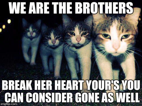 Wrong Neighboorhood Cats Meme | WE ARE THE BROTHERS; BREAK HER HEART YOUR'S YOU CAN CONSIDER GONE AS WELL | image tagged in memes,wrong neighboorhood cats | made w/ Imgflip meme maker