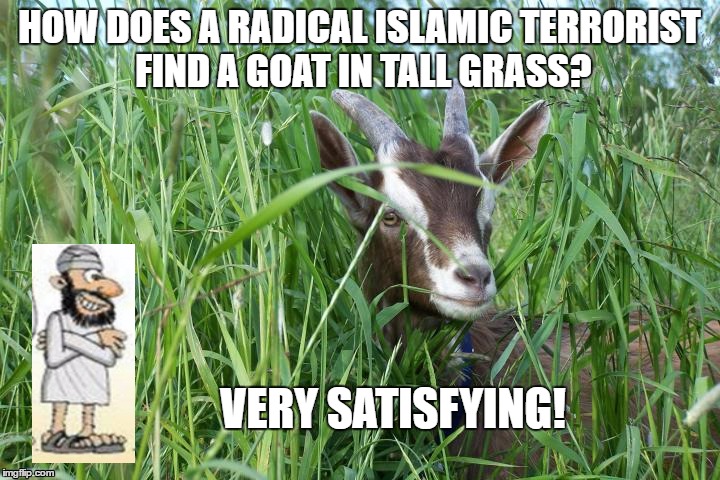 Goat in tall grass | HOW DOES A RADICAL ISLAMIC TERRORIST FIND A GOAT IN TALL GRASS? VERY SATISFYING! | image tagged in goat in tall grass | made w/ Imgflip meme maker