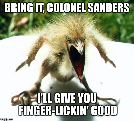 Angry bird | BRING IT, COLONEL SANDERS; I'LL GIVE YOU FINGER-LICKIN' GOOD | image tagged in angry bird | made w/ Imgflip meme maker