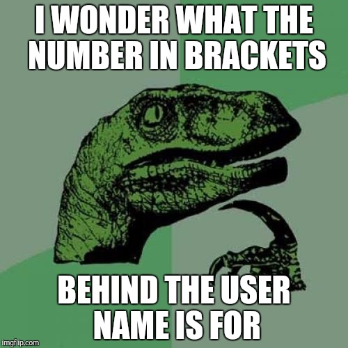 Philosoraptor | I WONDER WHAT THE NUMBER IN BRACKETS; BEHIND THE USER NAME IS FOR | image tagged in memes,philosoraptor | made w/ Imgflip meme maker