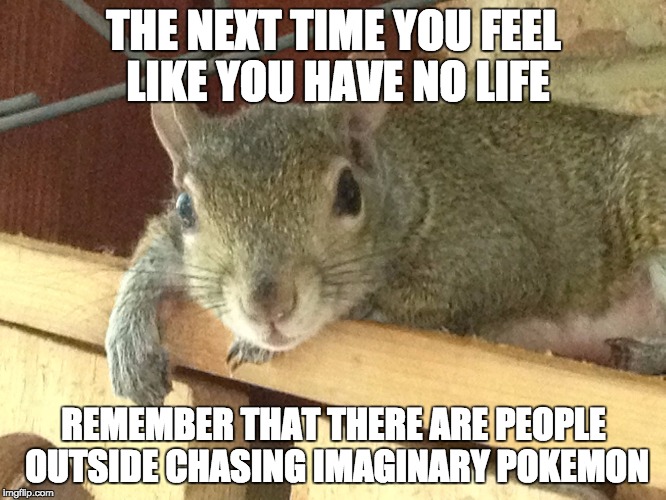 Squirrel Philosopher | THE NEXT TIME YOU FEEL LIKE YOU HAVE NO LIFE; REMEMBER THAT THERE ARE PEOPLE OUTSIDE CHASING IMAGINARY POKEMON | image tagged in squirrel philosopher,pokemon go,pokemon,no life,funny meme | made w/ Imgflip meme maker
