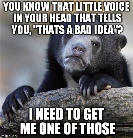 Confession Bear Meme | YOU KNOW THAT LITTLE VOICE IN YOUR HEAD THAT TELLS YOU, "THATS A BAD IDEA"? I NEED TO GET ME ONE OF THOSE | image tagged in memes,confession bear | made w/ Imgflip meme maker