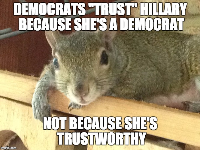 Squirrel Philosopher | DEMOCRATS "TRUST" HILLARY BECAUSE SHE'S A DEMOCRAT; NOT BECAUSE SHE'S TRUSTWORTHY | image tagged in squirrel philosopher | made w/ Imgflip meme maker