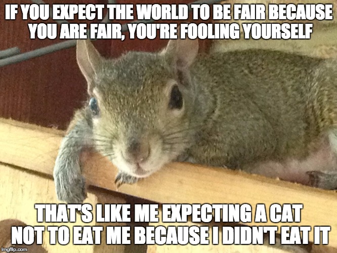 Squirrel Philosopher | IF YOU EXPECT THE WORLD TO BE FAIR BECAUSE YOU ARE FAIR, YOU'RE FOOLING YOURSELF; THAT'S LIKE ME EXPECTING A CAT NOT TO EAT ME BECAUSE I DIDN'T EAT IT | image tagged in squirrel philosopher | made w/ Imgflip meme maker