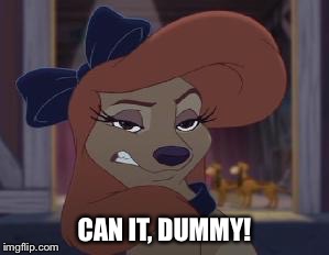 Dixie - Can it, Dummy! | CAN IT, DUMMY! | image tagged in dixie means business,memes,disney,the fox and the hound 2,reba mcentire,dog | made w/ Imgflip meme maker