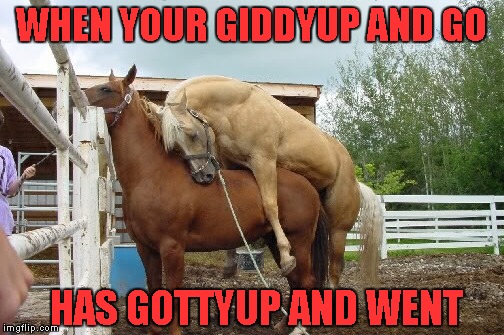 WHEN YOUR GIDDYUP AND GO HAS GOTTYUP AND WENT | made w/ Imgflip meme maker