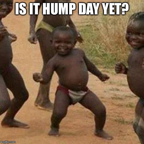Third World Success Kid | IS IT HUMP DAY YET? | image tagged in memes,third world success kid | made w/ Imgflip meme maker