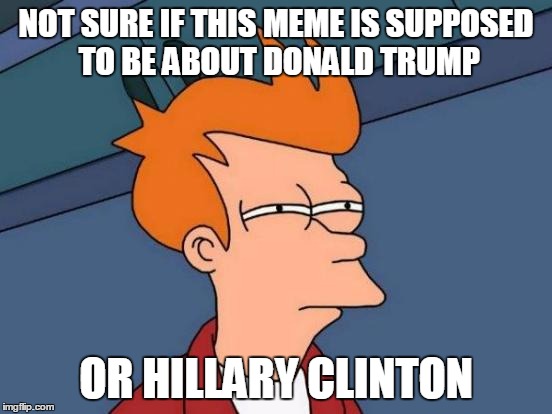 Futurama Fry Meme | NOT SURE IF THIS MEME IS SUPPOSED TO BE ABOUT DONALD TRUMP OR HILLARY CLINTON | image tagged in memes,futurama fry | made w/ Imgflip meme maker